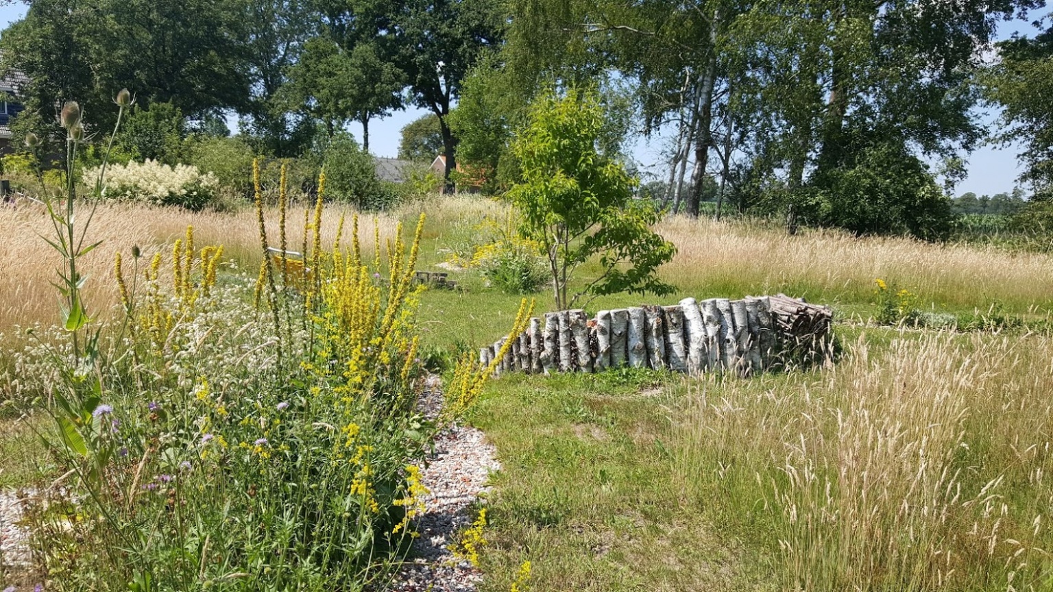 Natuur in de tuin Sabine van Andel